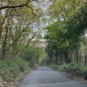 Meet your Posher, Abigail